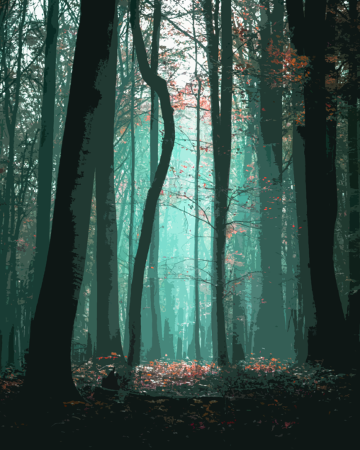 神秘的な森