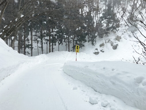 積雪の車道