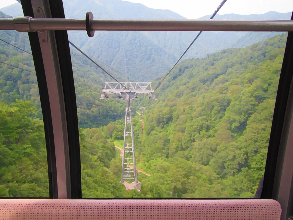 ロープウェーからの景色
